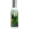 Bath & Body Works Leaves huonesuihke 42,5 g thumbnail 1