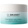 dr. brandt Needles Hyaluronic Facial Cream (50 ml) thumbnail 1