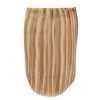 BLONG SwiftHair 45 cm #25/8 thumbnail 2