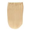 BLONG SwiftHair 45 cm #25 vaalea beige thumbnail 2