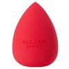 Blending Sponge thumbnail 1
