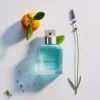 Calvin Klein Eternity for Men Summer Daze Eau de Toilette -tuoksu Miehille 100 ml thumbnail 4