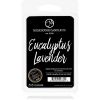 Milkhouse Candle Co. Creamery Eucalyptus Lavender Tuoksuvaha 155 g thumbnail 1