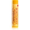 Burt’s Bees Lip Care huulivoide, mehiläisvaha (with Vitamin E &amp; Peppermint) 4.25 g thumbnail 1