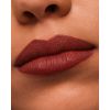 Estée Lauder Pure Color Matte Lipstick pitkäkestoinen mattapinnan antava huulipuna Sävy No Concessions 3,5 g thumbnail 5