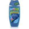 Palmolive Mineral Massage suihkugeeli 250 ml thumbnail 1