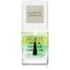 Gabriella Salvete Nail Care Nail &amp; Cuticle Caring Oil ravitseva kynsiöljy 11 ml thumbnail 1