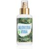 Purity Vision BIO kasvovesisuihke 100 ml thumbnail 1