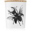 Vila Hermanos Insect Lucanus Cervus Tuoksukynttilä 75 g thumbnail 1
