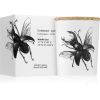 Vila Hermanos Insect Lucanus Cervus Tuoksukynttilä 75 g thumbnail 3