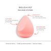 BrushArt Make-up Sponge Basic tarkka meikkivoidesieni 1 kpl thumbnail 5