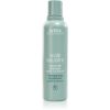 Aveda Scalp Solutions Balancing Shampoo rauhoittava shampoo Päänahan Uudistamiseen 200 ml thumbnail 1