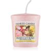 Yankee Candle Fresh Cut Roses votiivikynttilä 49 g thumbnail 1
