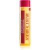 Burt’s Bees Lip Care elvyttävä huulibalsami (with Pomegranate Oil) 4.25 g thumbnail 1