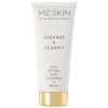 MZ Skin Cleanse &amp; Clarify Dual Action AHA Cleanser and Mask thumbnail 1