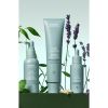Aveda Scalp Solutions Refreshing Protective Mist suojaava suihke helposti rasvoittuville hiuksille 100 ml thumbnail 11