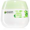 Garnier Botanical kosteuttava voide normaalille ja sekaiholle 50 ml thumbnail 1