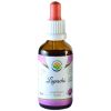 Salvia Paradise Lapacho alcohol-free tincture alkoholiton tinktuura Ärtyneelle Iholle 50 ml thumbnail 1