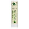 Avon Cannabis Sativa Oil Nourish & Calm huulivoide sisältää hamppuöljyä 4,5 g thumbnail 1