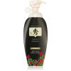 DAENG GI MEO RI Dlae Soo Hair Loss Care Treatment syväelvyttävä hoitoaine hiustenlähtöön 400 ml thumbnail 1