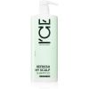 Natura Siberica ICE Professional Refresh My Scalp puhdistava detox-shampoo 1000 ml thumbnail 1