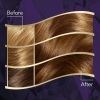 Wella Wellaton Intense kestohiusväri sisältää arganöljyä sävy 6/0 Dark Blonde 1 kpl thumbnail 6