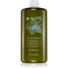 Echosline Maqui All-In hellävarainen puhdistava shampoo kosteuttava vaikutus 975 ml thumbnail 1