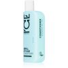 Natura Siberica ICE Professional Refill My Hair Kosteuttava Hoitoaine 250 ml thumbnail 1