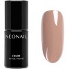 NEONAIL Autumn Collection UV Gel Polish Autumn Aesthetic thumbnail 1