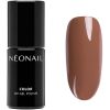 NEONAIL Autumn Collection UV Gel Polish Keep Your Way thumbnail 1