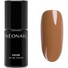 NEONAIL Autumn Collection UV Gel Polish Most Of (F)all thumbnail 1