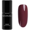 NEONAIL Autumn Collection UV Gel Polish Time For Myself thumbnail 1