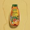 Garnier Botanic Therapy Disney Kids shampoo ja hoitoaine 2in1 hiusten selvittämistä helpottamaan lapsille 400 ml thumbnail 3