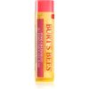 Burt’s Bees Lip Care virkistävä balsami huuliin (with Pink Grapefruit) 4,25 g thumbnail 1