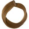 Rapunzel of Sweden Premium Tape Extensions - Classic 4 (40 cm) 5.1 Medium Ash Brown thumbnail 1