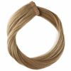 Rapunzel of Sweden Premium Tape Extensions - Classic 4 (40 cm) 7.3 Cendre Ash thumbnail 1