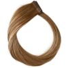 Rapunzel of Sweden Premium Tape Extensions - Classic 4 (40 cm) B5.0/8.3 Brownish Blonde Balayage thumbnail 1