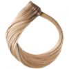 Rapunzel of Sweden Premium Tape Extensions - Classic 4 (40 cm) C2.2/10.5 Dark Cool Blonde ColorMelt thumbnail 1