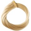 Rapunzel of Sweden Premium Tape Extensions - Classic 4 (50 cm) 8.0 Light Golden Blonde thumbnail 1