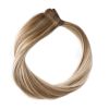 Rapunzel of Sweden Premium Tape Extensions - Classic 4 50 cm (B2.6/10.7 Dark Ashy Blonde Balayage) thumbnail 1