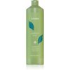 Echosline Energy Shampoo shampoo hauraille hiuksille 1000 ml thumbnail 1