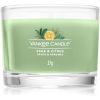 Yankee Candle Sage &amp; Citrus votiivikynttilä Signature 37 g thumbnail 1