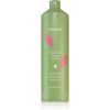 Echosline Colour Care Shampoo suojaava shampoo värjätyille hiuksille 1000 ml thumbnail 1