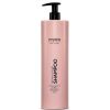 Vision Haircare Repair &amp; Color Shampoo 1000 ml thumbnail 1