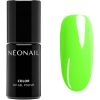 NEONAIL UV Gel Polish What I want thumbnail 1