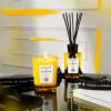 Acqua Di Parma Grazie Candle 200g thumbnail 3