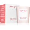 Payot Rituel Douceur Bougie Harmonisante tuoksukynttilä tuoksuu jasmiinille 180 g thumbnail 3