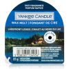 Yankee Candle Lakefront Lodge tuoksuvaha 22 g thumbnail 1