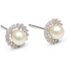Lily and Rose Colette pearl stud earrings   Ivory pearl thumbnail 1