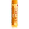 Burt’s Bees Lip Care huulivoide sisältää hunajaa (with Honey &amp; Vitamin E) 4,25 g thumbnail 1